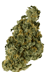 Demecan Core Saxonia 28:01 Wedding Cake x Jet Fuel Gelato